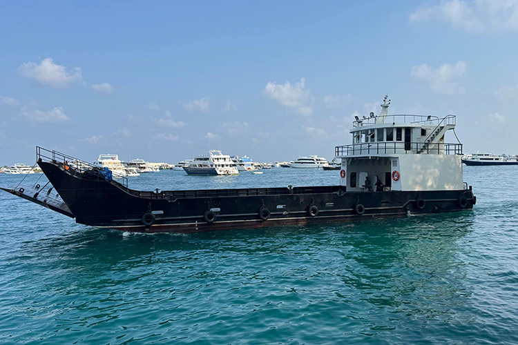 フェリーボートは海上交通にどのような革命をもたらすのでしょうか?